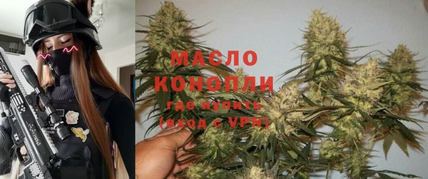 мет Новозыбков