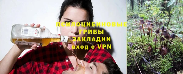 PSILOCYBIN Новодвинск