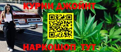 крисы Ирбит