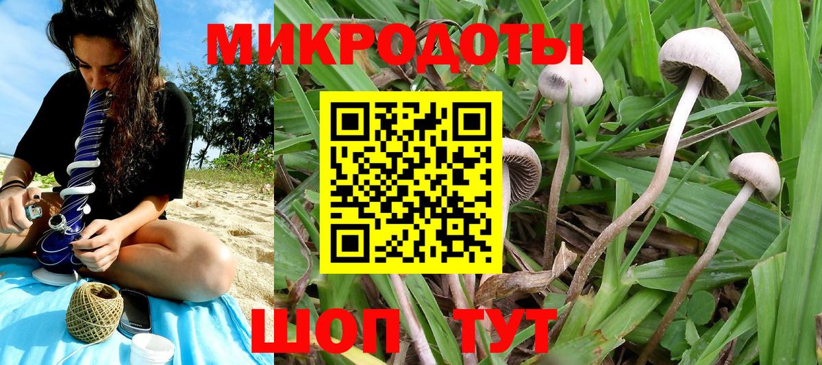 Галлюциногенные грибы мухоморы Кулебаки