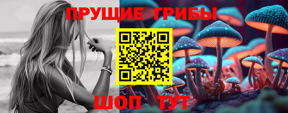 закладка  Галлюциногенные грибы MAGIC MUSHROOMS  Кулебаки  Вход с VPN  Галлюциногенные грибы Magic Shrooms 