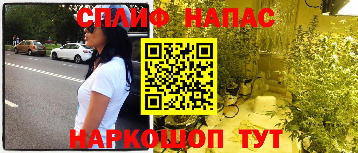 Кулебаки  Бошки Шишки OG Kush  Вход с VPN  Марихуана ГИДРОПОН 